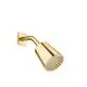 DORNBRACHT-Kopfbrause-SERIENSPEZIFISCH-28504670-Messing-gebuerstet-23kt-Gold-28504670-28 gallery number 1